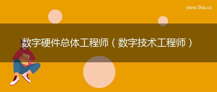 数字硬件总体工程师(数字技术工程师) 数字硬件总体工程师(数字技术工程师)