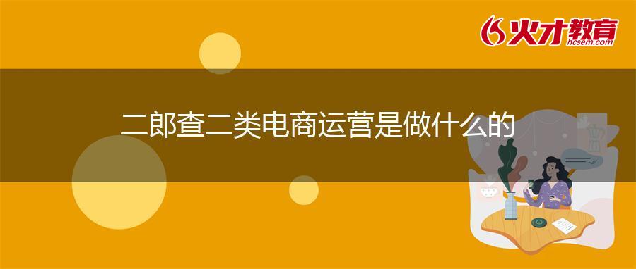 二郎查二类电商运营是做什么的