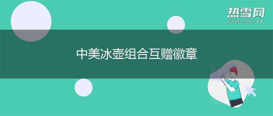 中美冰壶组合互赠徽章