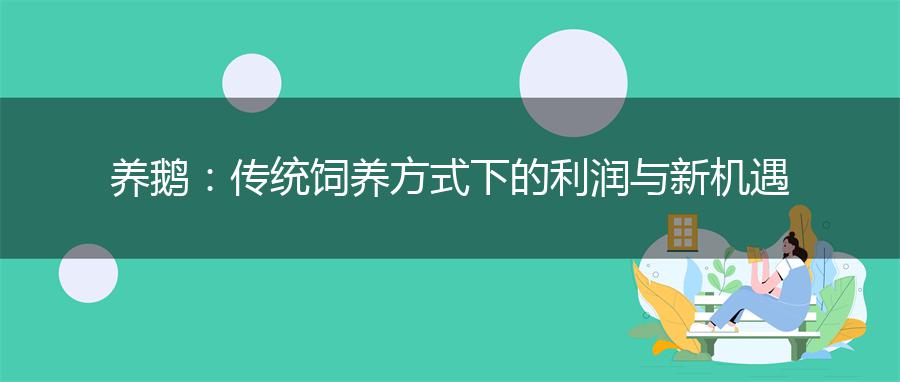 养鹅：传统饲养方式下的利润与新机遇