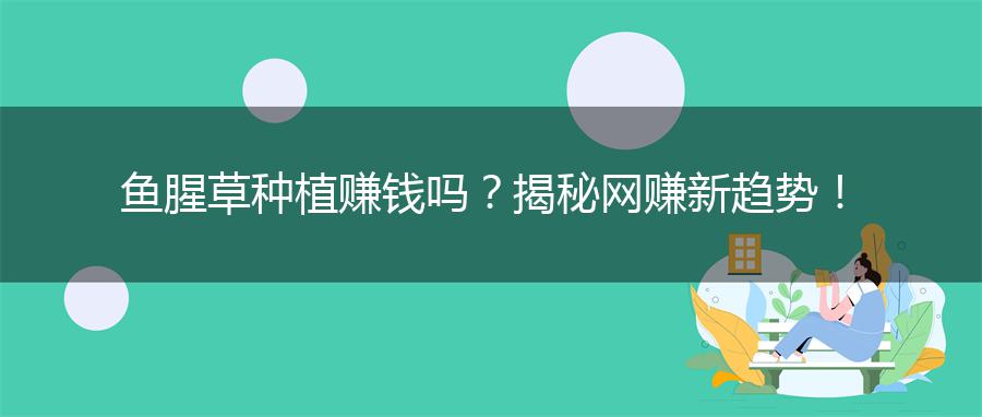 鱼腥草种植赚钱吗？揭秘网赚新趋势！