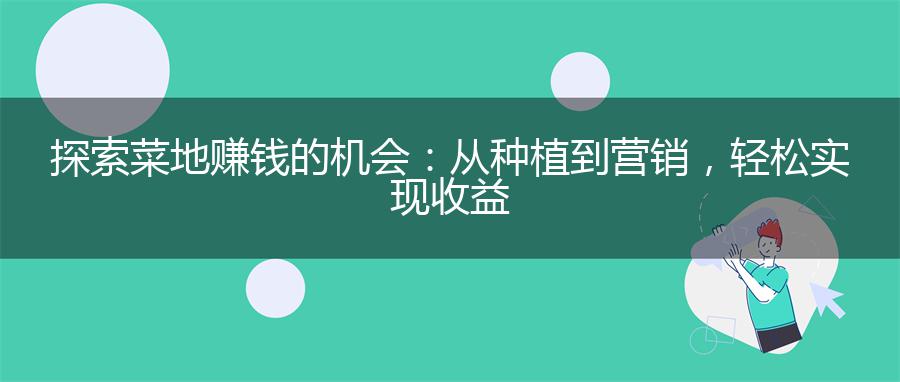 探索菜地赚钱的机会：从种植到营销，轻松实现收益