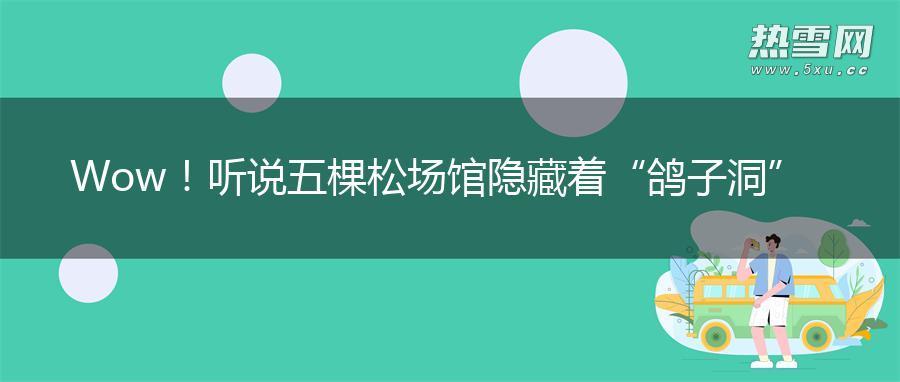 Wow！听说五棵松场馆隐藏着“鸽子洞”