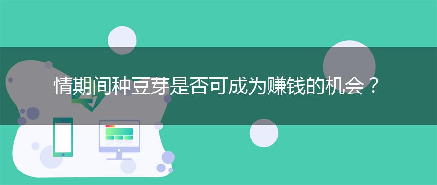 情期间种豆芽是否可成为赚钱的机会？