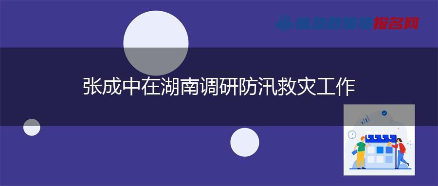 张成中在湖南调研防汛救灾工作